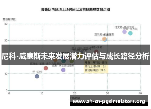尼科-威廉斯未来发展潜力评估与成长路径分析