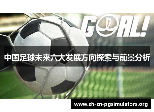 中国足球未来六大发展方向探索与前景分析