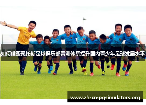 如何借鉴桑托斯足球俱乐部青训体系提升国内青少年足球发展水平
