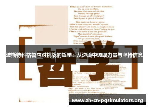 波斯特科格鲁应对挑战的哲学：从逆境中汲取力量与坚持信念