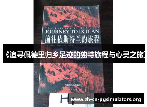 《追寻佩德里归乡足迹的独特旅程与心灵之旅》