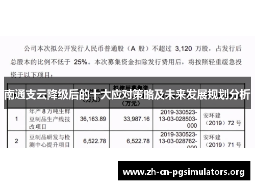 南通支云降级后的十大应对策略及未来发展规划分析