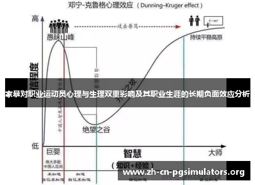 家暴对职业运动员心理与生理双重影响及其职业生涯的长期负面效应分析