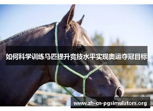 如何科学训练马匹提升竞技水平实现奥运夺冠目标