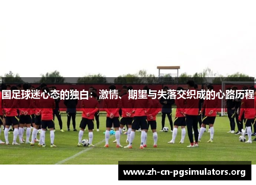 国足球迷心态的独白：激情、期望与失落交织成的心路历程