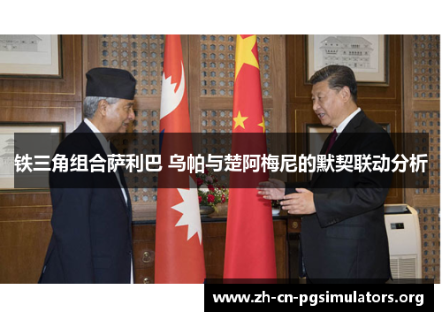 铁三角组合萨利巴 乌帕与楚阿梅尼的默契联动分析