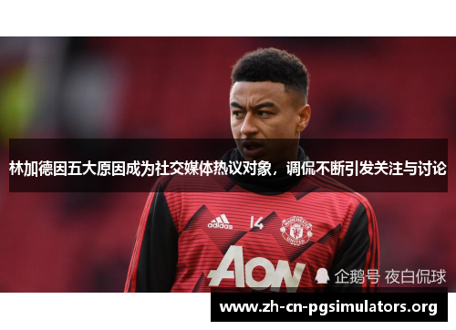 林加德因五大原因成为社交媒体热议对象，调侃不断引发关注与讨论