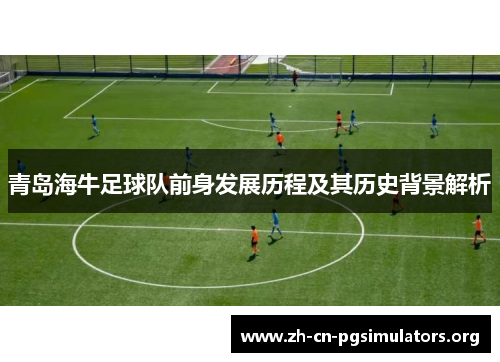 青岛海牛足球队前身发展历程及其历史背景解析